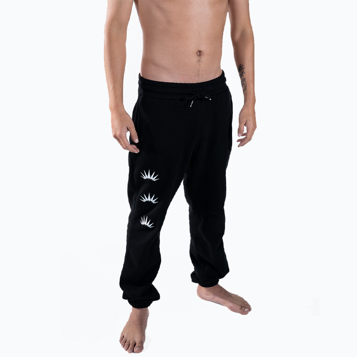 ERIZOS BUZO ICON BLACK