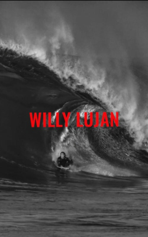 WILLY LUJAN SANGRE ERIZOS