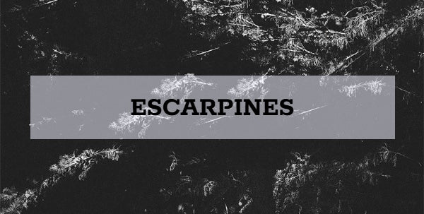 Escarpines
