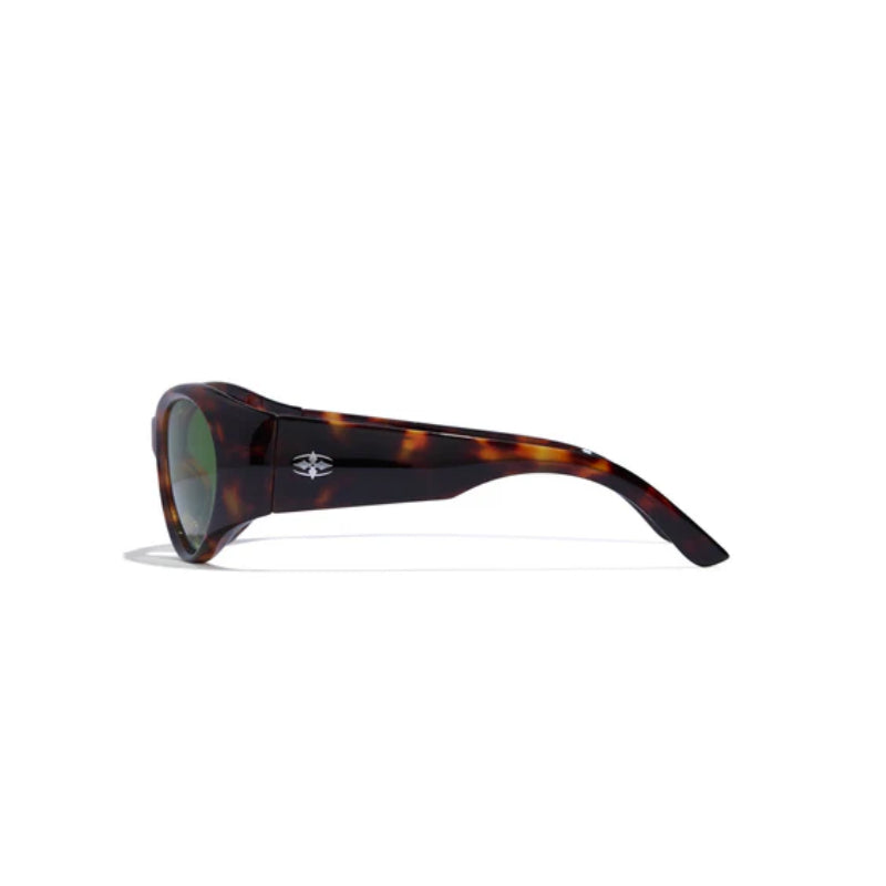LENTE RITUAL VISION STINKBUG