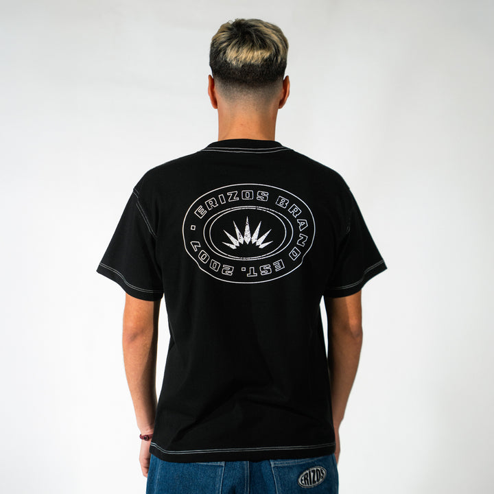 TEE ERIZOS MINECRAFT