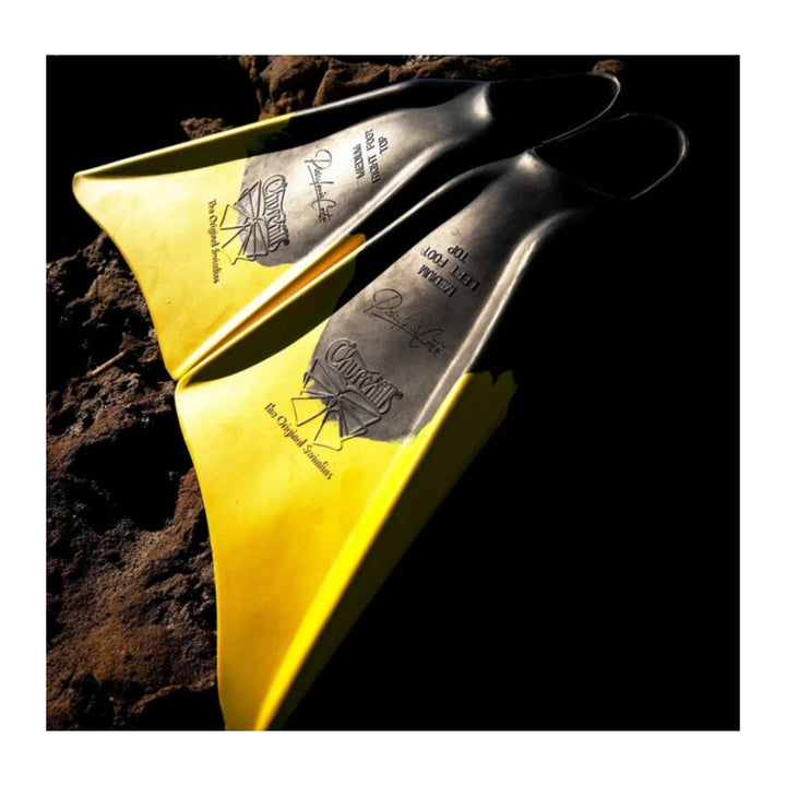 SWIMFINS CHURCHILL MAKAPUU PIERRE LOUIS COSTES
