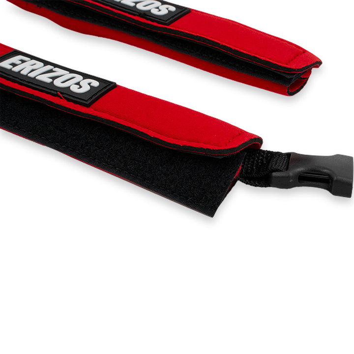 SAVERS ERIZOS HELL SAVERS