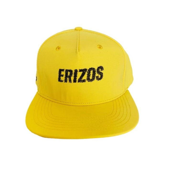ERIZOS CAP ANT FARM