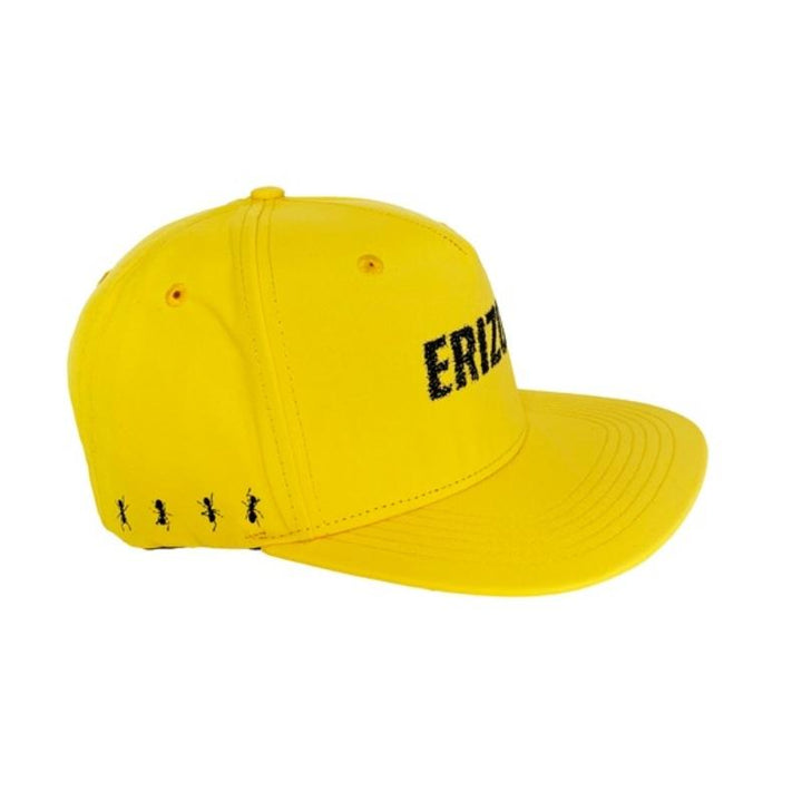 ERIZOS CAP ANT FARM