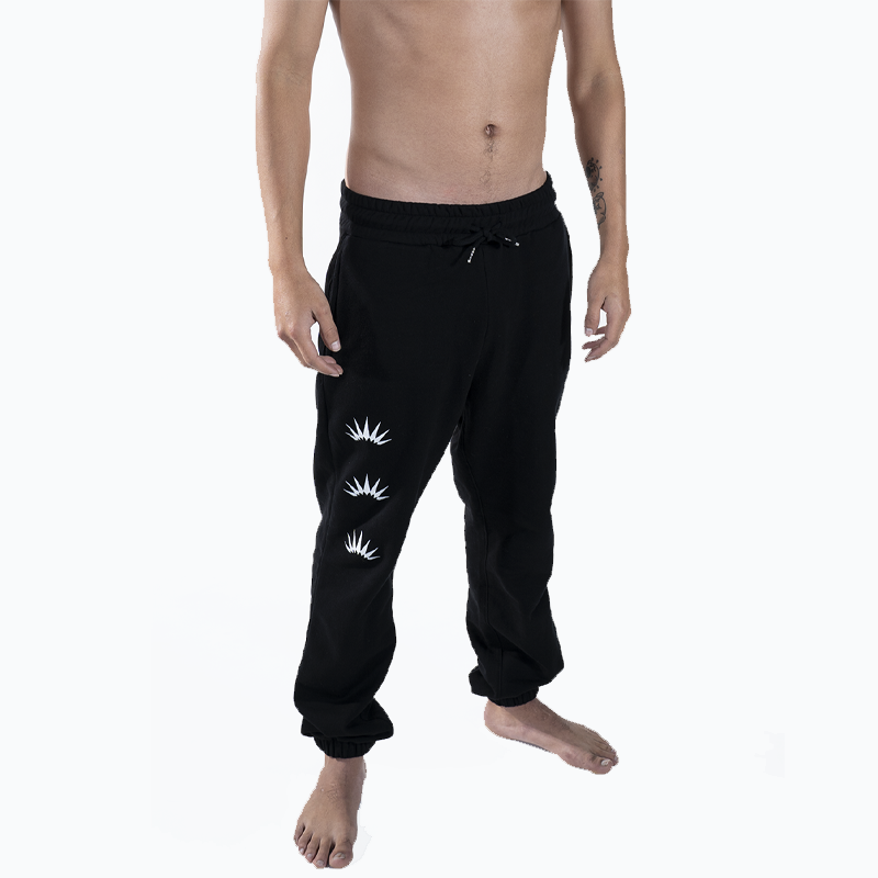 ERIZOS BUZO ICON BLACK