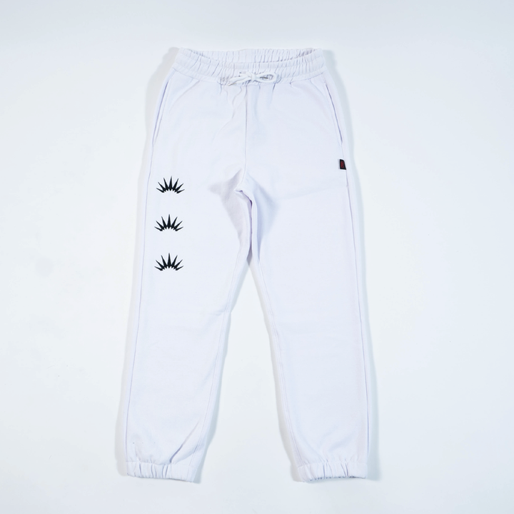 ERIZOS BUZO ICON WHITE